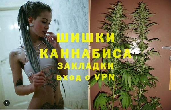 скорость Тайга